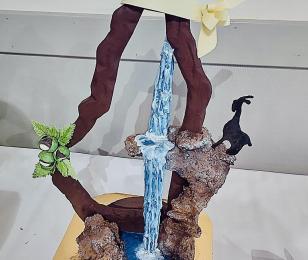 Salon du chocolat de St Priest